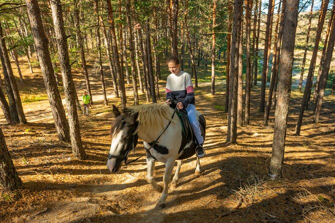 Horse Riding Experience From Bansko - Questions About Staying Here