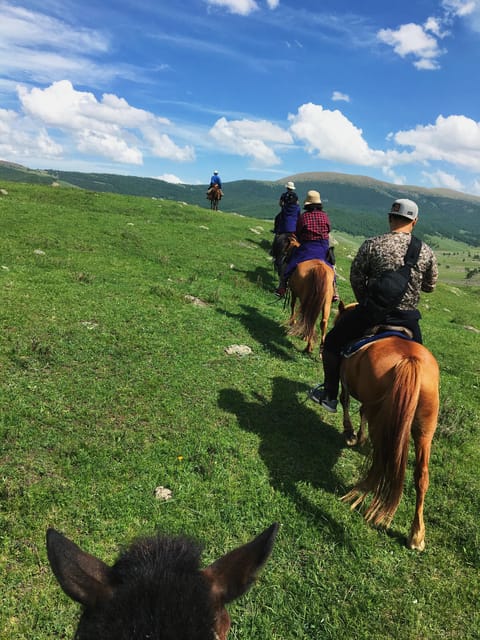 Horse Riding Experience in Terelj National Park 1 Day - Experience Details