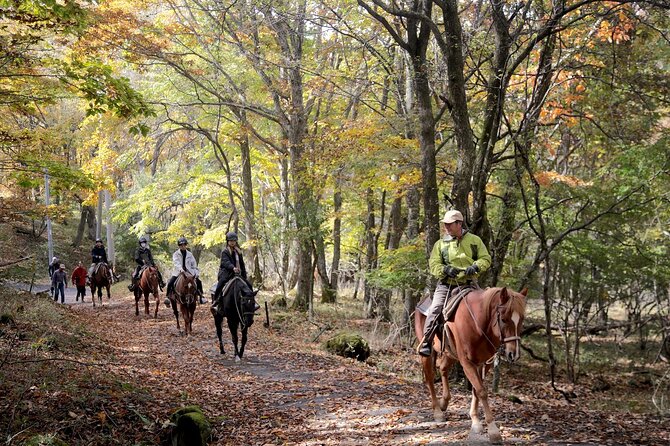 Horse Riding Experience in the Nature-Rich Lake Shirakaba - Key Points