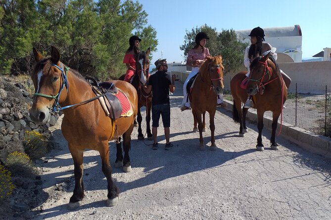 Horse Riding--Explore Secret Thera - Exploring Megalochori
