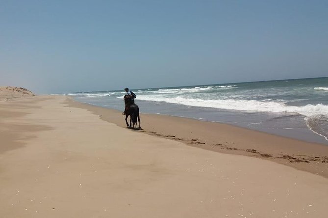 Horse Riding in Agadir National Park - Meeting and Pickup