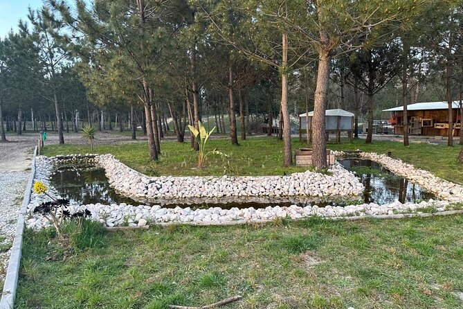 Horse Riding in Aveiro - Ílhavo - Frequently Asked Questions