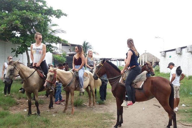 Horse Riding in Cartagena - Tour Details