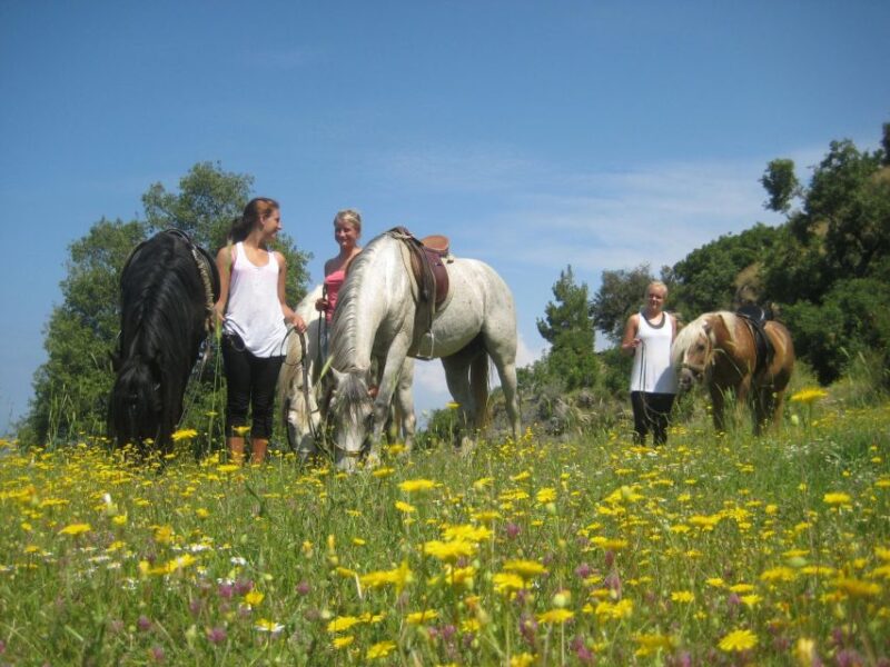 Horse Riding in Kusadasi - Participant Details