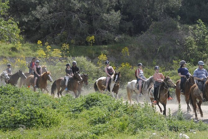 Horse Riding in Kusadasi - Age and Health Restrictions