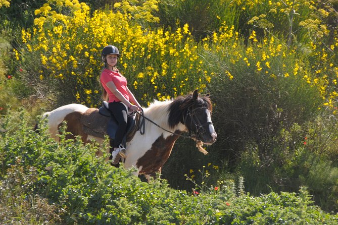 Horse Riding in Kusadasi - Riding Instruction and Equipment