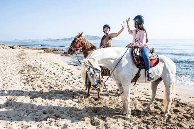 Horse Riding in Mallorca - Inquiries and Assistance