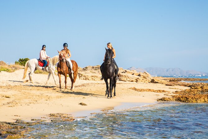 Horse Riding in Mallorca - Traveler Photo Opportunities