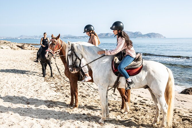 Horse Riding in Mallorca - Overview and Warnings