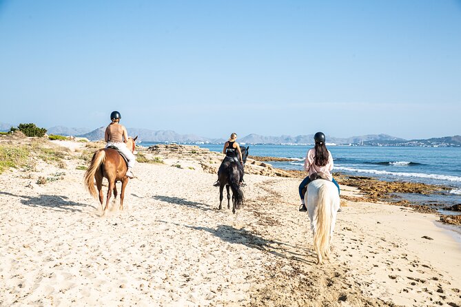 Horse Riding in Mallorca - Frequently Asked Questions