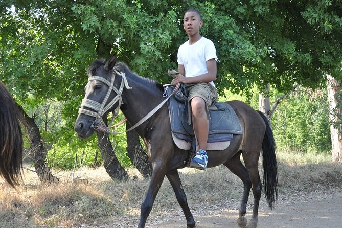 Horse Riding in Marmaris & Icmeler - Health and Accessibility