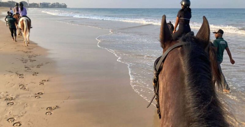 Horse Riding in Mount Lavinia - Key Points
