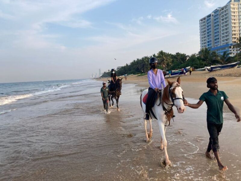 Horse Riding in Mount Lavinia - Location Details