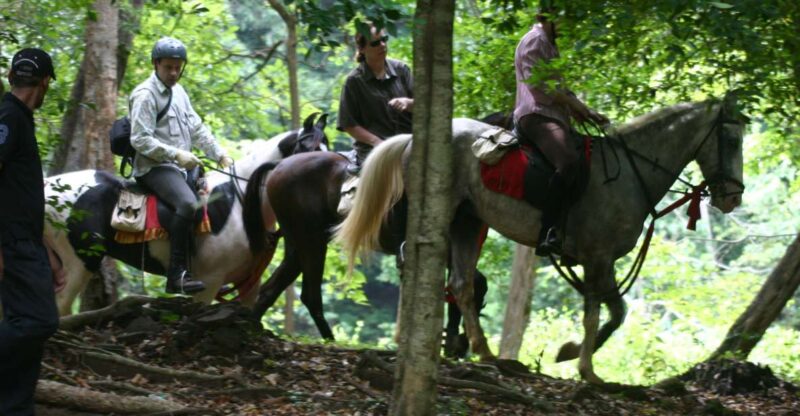 Horse Riding in Nuwara Eliya - Key Points