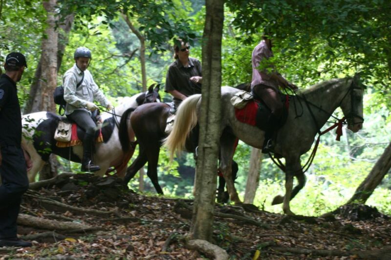 Horse Riding in Nuwara Eliya - Experience Highlights
