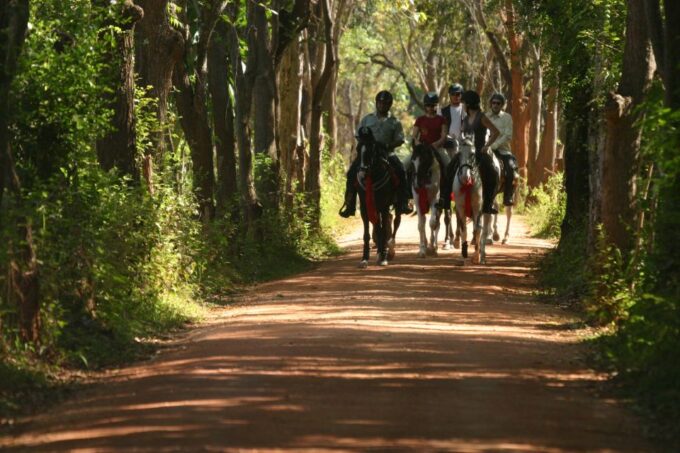 Horse Riding in Nuwara Eliya - Recap