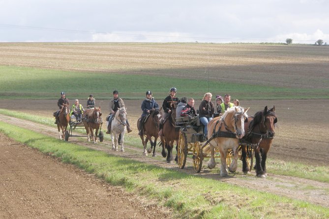 Horse Riding in the French Countryside - Reviews and Ratings