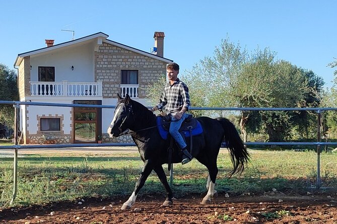 Horse Riding in the Gargano National Park - Cancellation Policy