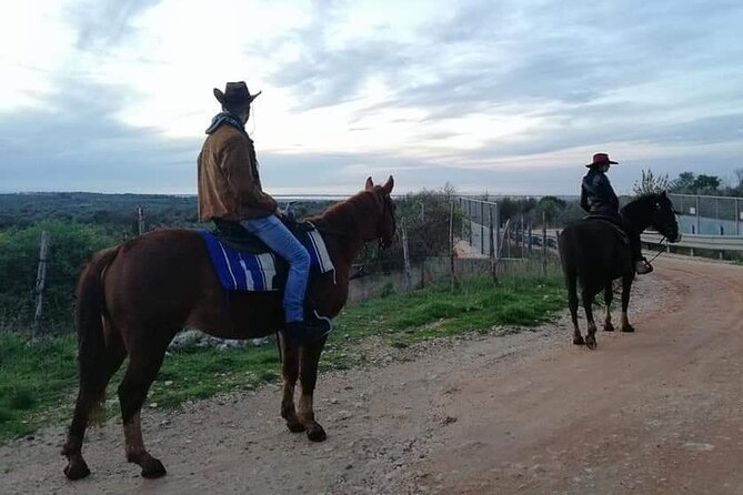 Horse Riding in the Gargano National Park - Guest Reviews and Feedback