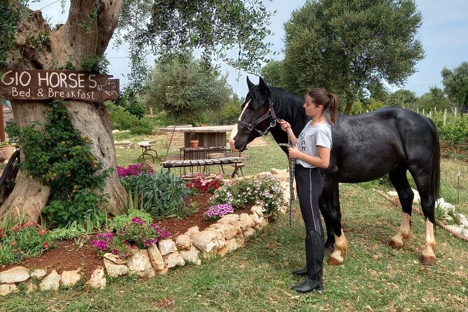 Horse Riding in the Gargano National Park - About the Tour Operator