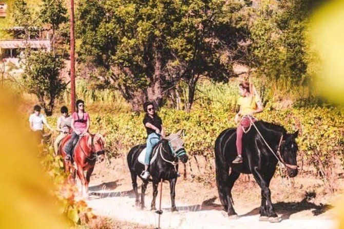 Horse Riding in the Vineyards of Grimaud + Wine Tasting - Quick Points