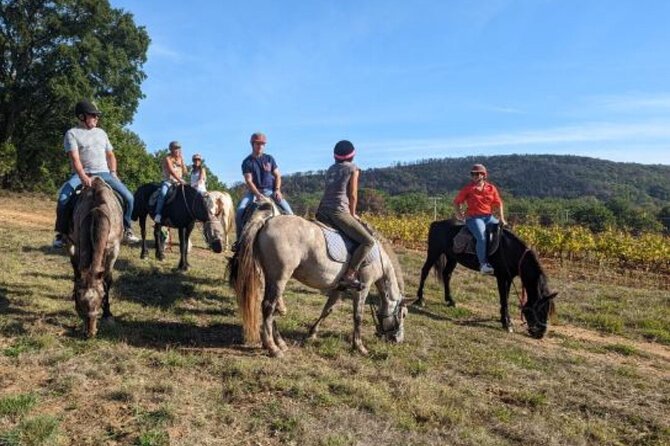 Horse Riding in the Vineyards of Grimaud + Wine Tasting - Inclusions and Exclusions