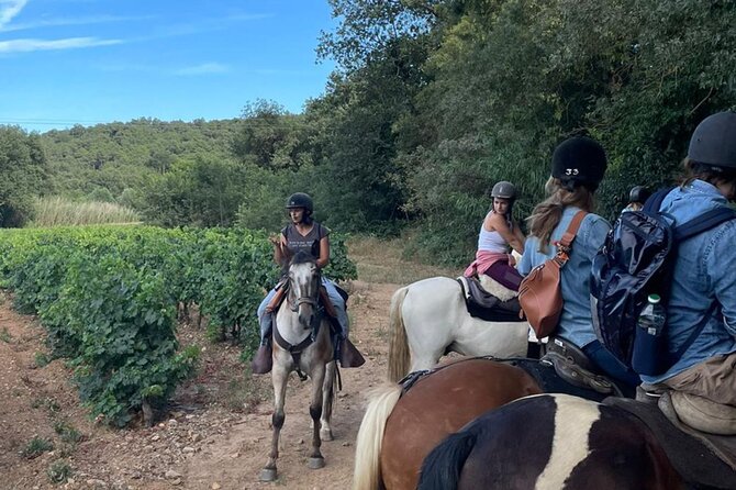 Horse Riding in the Vineyards of Grimaud + Wine Tasting - Health and Safety