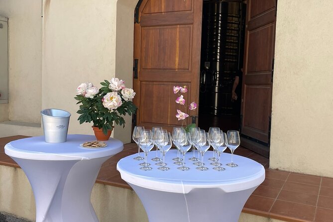Horse Riding in the Vineyards of Ramatuelle + Wine Tasting - Participation Details