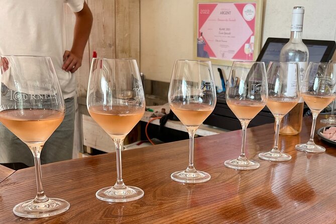 Horse Riding in the Vineyards of Ramatuelle + Wine Tasting - Accommodations and Transportation