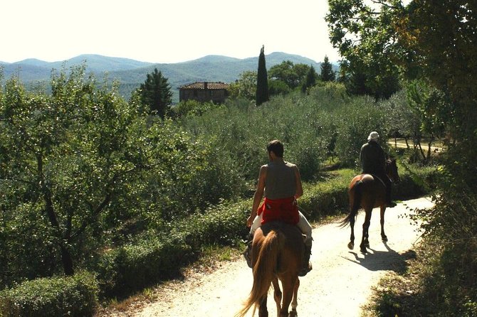 Horse Riding in Tuscany for Experienced Riders: Full-day Trail Ride - Rider Requirements and Restrictions