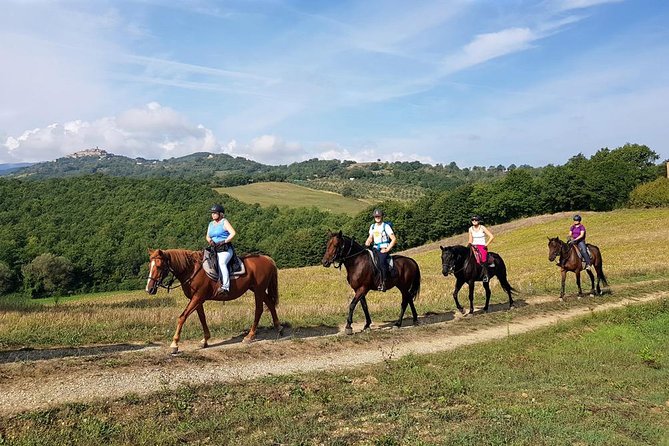 Horse Riding in Tuscany for Experienced Riders: Full-day Trail Ride - Navigating the Tuscan Countryside