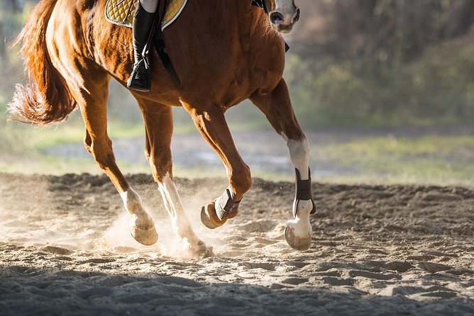 Horse Riding Morning Ride in Paros - Comfortable Pace and Personalized Rides