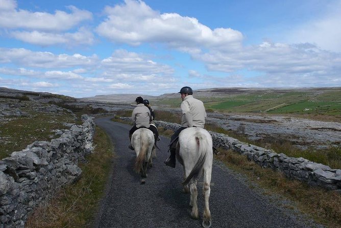 Horse Riding - Mountain Trail. Lisdoonvarna, Co Clare. Guided. 2 Hours. - Highlights of the Trail Ride