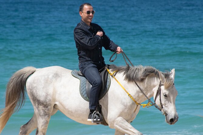 Horse Riding on Melides Beach - Tour Experience