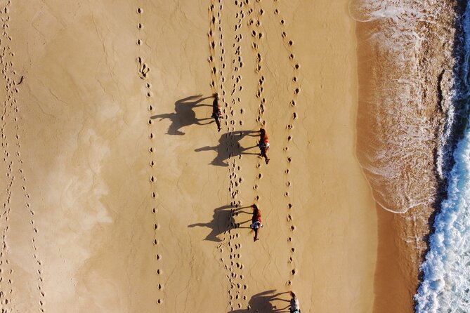 Horse Riding on Melides Beach - Traveler Reviews