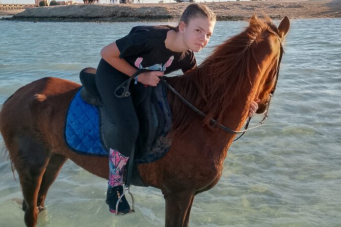 Horse Riding on the Beach and Desert 3 Hours From Hurghada - About Your Stay