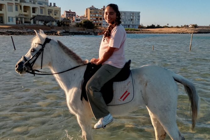 Horse Riding on the Beach and Desert 3 Hours From Hurghada - Participation Guidelines