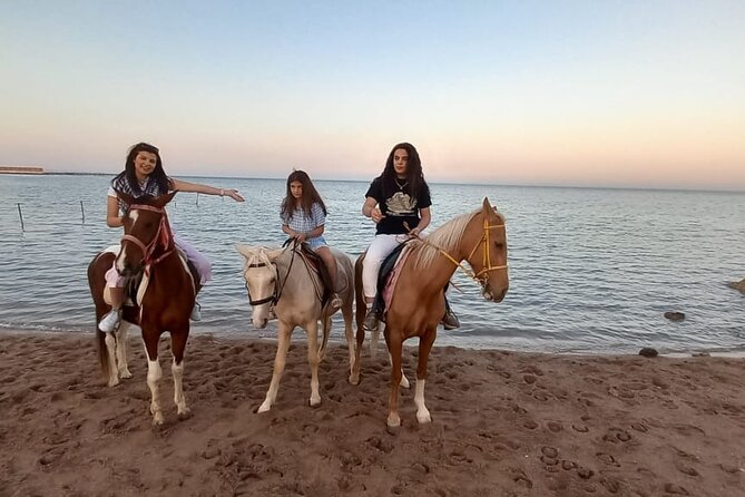 Horse Riding on the Beach and Desert 3 Hours From Hurghada - Pricing and Booking Details