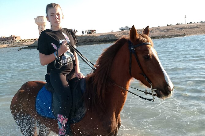 Horse Riding on the Beach and Desert 3 Hours From Hurghada - Customer Feedback Highlights