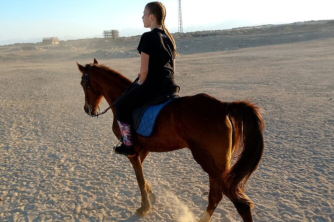 Horse Riding on the Beach and Desert 3 Hours From Hurghada - Exploring Hurghada Before or After