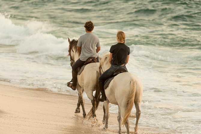 Horse Riding on the Beach - Meeting Point and Directions