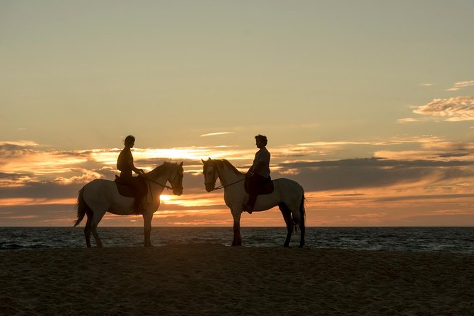 Horse Riding on the Beach - Customer Reviews and Ratings