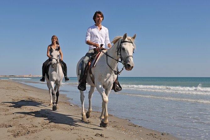 Horse Riding on the Beach in Side - Customer Reviews Breakdown