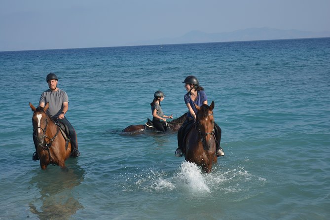 Horse Riding on the Beach, Rhodes - Meeting and Pickup Details