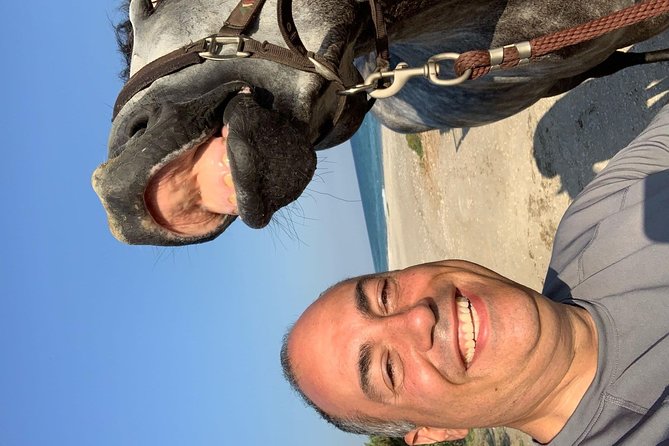 Horse Riding on the Beach, Rhodes - Whats Included in the Activity