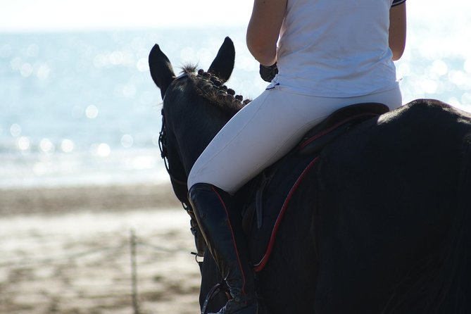 Horse Riding on the Beach, Rhodes - Additional Important Information