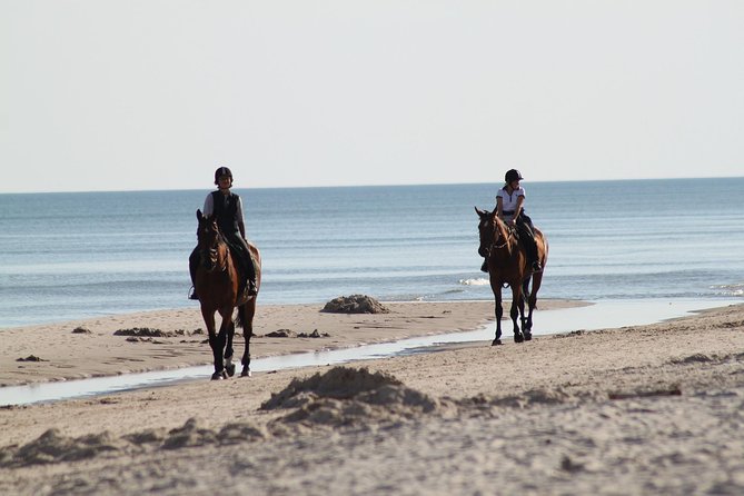 Horse Riding on the Beach, Rhodes - Preparing for the Ride