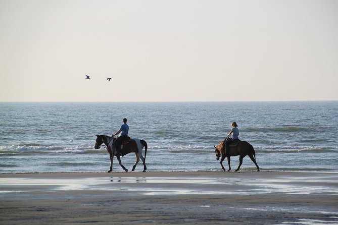 Horse Riding on the Beach, Rhodes - Highlights of the Adventure