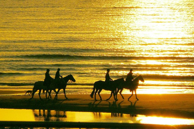 Horse Riding on the Beach, Rhodes - Booking and Reservations