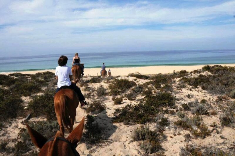 Horse Riding on the Beach With Private Transfer From Lisbon - Key Points